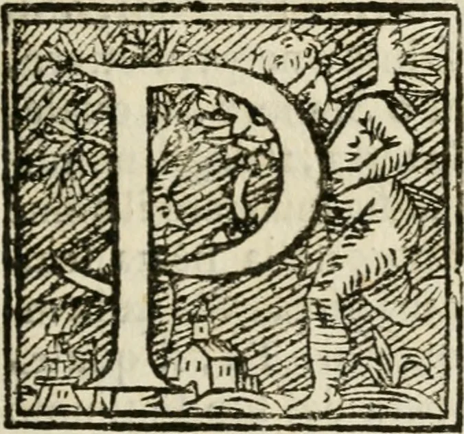 An illustration from Veridico racconto dell' origine, progressi e miracoli della Madonna di Reggio : con la descrittione d'alcune solennità, e del tempio : dichiarandosi le di lui pitture e sculture, e nominandosi gl' autori di quelle, 1666, leaf 56