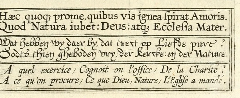 An illustration from Veridicvs Christianvs, 1601, leaf 119
