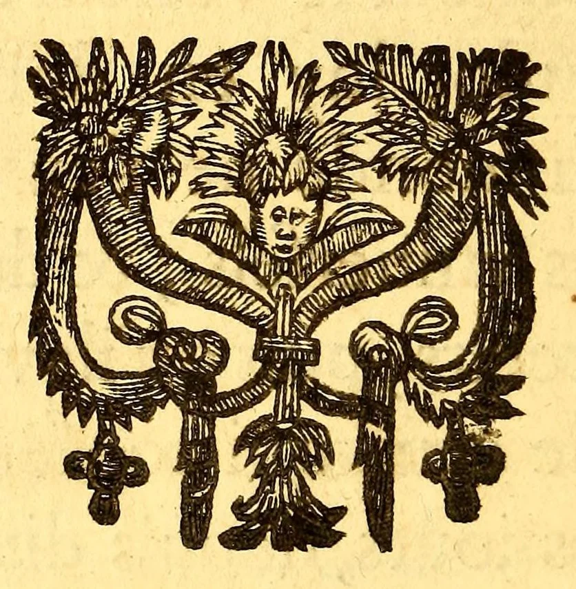 An illustration from Veritable relation de tout ce qui s'est fait et passé au voyage que Monsieur de Bretigny fit à l'Amerique Occidentale. : Auec vne description des murs, & des prouinces de tous les sauuages de cette grande partie du Cap de Nord: vn dictionnaire del a langue, & vn aduis tres-necessaire à tous ceux qui veulent habiter ou faire habiter ce païs-là, ou qui desirent d'y establir des colonies., 1654, leaf 20