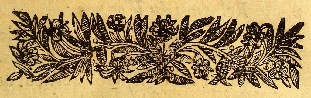 An illustration from Veritable relation de tout ce qui s'est fait et passé au voyage que Monsieur de Bretigny fit à l'Amerique Occidentale. : Auec vne description des murs, & des prouinces de tous les sauuages de cette grande partie du Cap de Nord: vn dictionnaire del a langue, & vn aduis tres-necessaire à tous ceux qui veulent habiter ou faire habiter ce païs-là, ou qui desirent d'y establir des colonies., 1654, leaf 37
