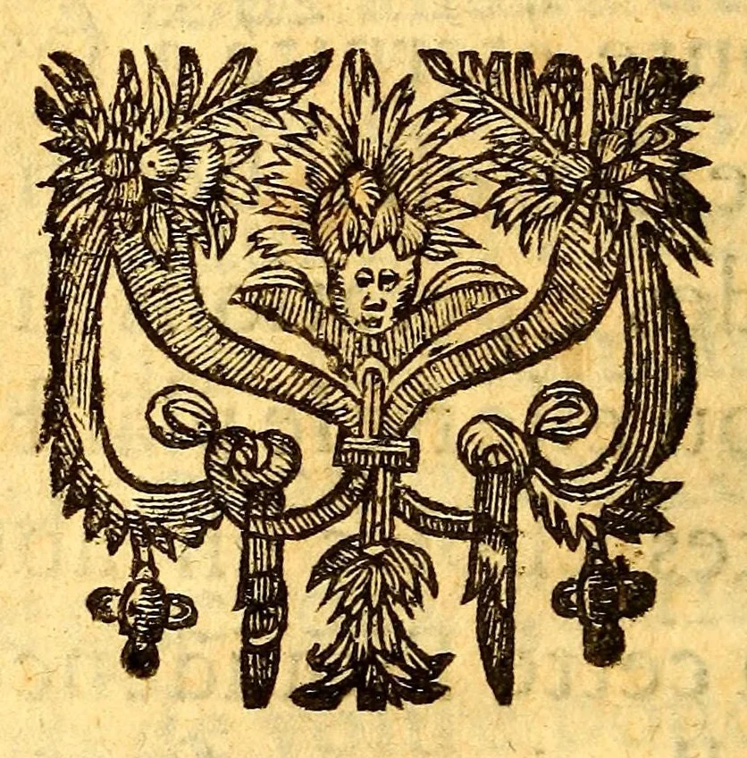 An illustration from Veritable relation de tout ce qui s'est fait et passé au voyage que Monsieur de Bretigny fit à l'Amerique Occidentale. : Auec vne description des murs, & des prouinces de tous les sauuages de cette grande partie du Cap de Nord: vn dictionnaire del a langue, & vn aduis tres-necessaire à tous ceux qui veulent habiter ou faire habiter ce païs-là, ou qui desirent d'y establir des colonies., 1654, leaf 378
