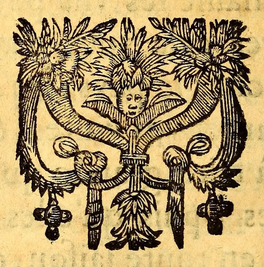 An illustration from Veritable relation de tout ce qui s'est fait et passé au voyage que Monsieur de Bretigny fit à l'Amerique Occidentale. : Auec vne description des murs, & des prouinces de tous les sauuages de cette grande partie du Cap de Nord: vn dictionnaire del a langue, & vn aduis tres-necessaire à tous ceux qui veulent habiter ou faire habiter ce païs-là, ou qui desirent d'y establir des colonies., 1654, leaf 404