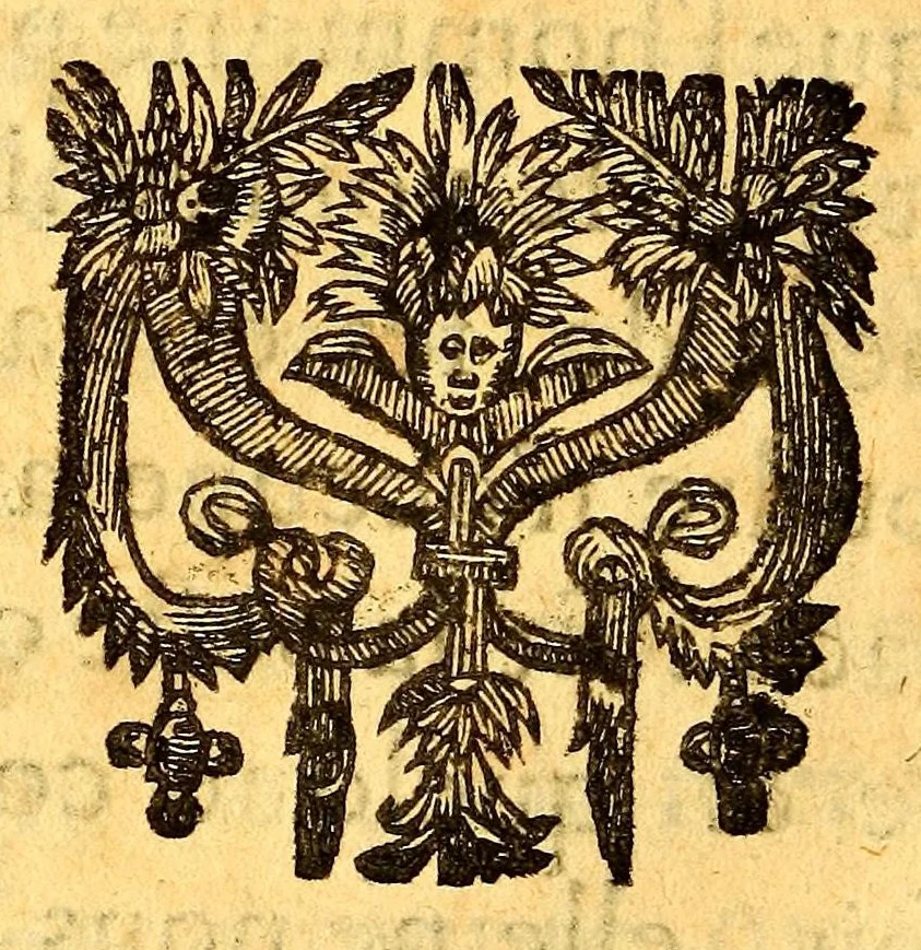 An illustration from Veritable relation de tout ce qui s'est fait et passé au voyage que Monsieur de Bretigny fit à l'Amerique Occidentale. : Auec vne description des murs, & des prouinces de tous les sauuages de cette grande partie du Cap de Nord: vn dictionnaire del a langue, & vn aduis tres-necessaire à tous ceux qui veulent habiter ou faire habiter ce païs-là, ou qui desirent d'y establir des colonies., 1654, leaf 418