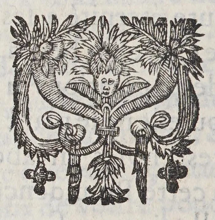 An illustration from Veritable relation de tout ce qui s'est fait et passé au voyage que Monsieur de Bretigny fit à l'Amerique Occidentale. : Auec vne description des mœurs, & des prouinces de tous les sauuages de cette grande partie du Cap de Nord: vn dictionnaire del a langue, & vn aduis tres-necessaire à tous ceux qui veulent habiter ou faire habiter ce païs-là, ou qui desirent d'y establir des colonies., 1654, leaf 378