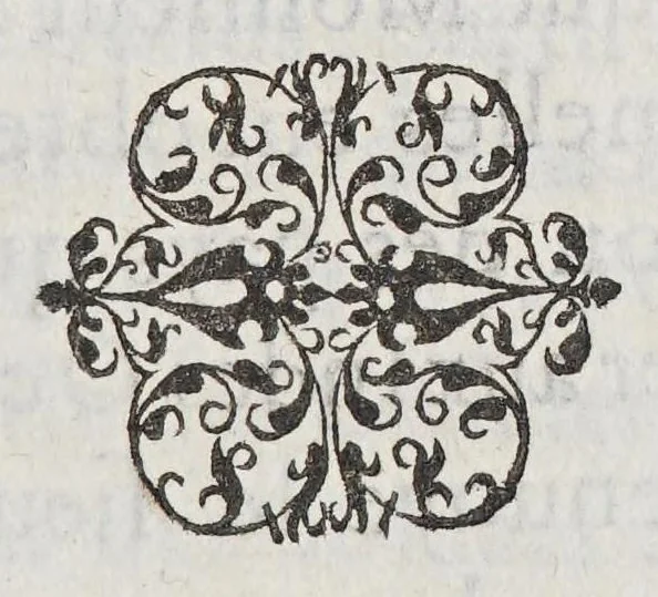 An illustration from Veritable relation de tout ce qui s'est fait et passé au voyage que Monsieur de Bretigny fit à l'Amerique Occidentale. : Auec vne description des mœurs, & des prouinces de tous les sauuages de cette grande partie du Cap de Nord: vn dictionnaire del a langue, & vn aduis tres-necessaire à tous ceux qui veulent habiter ou faire habiter ce païs-là, ou qui desirent d'y establir des colonies., 1654, leaf 459