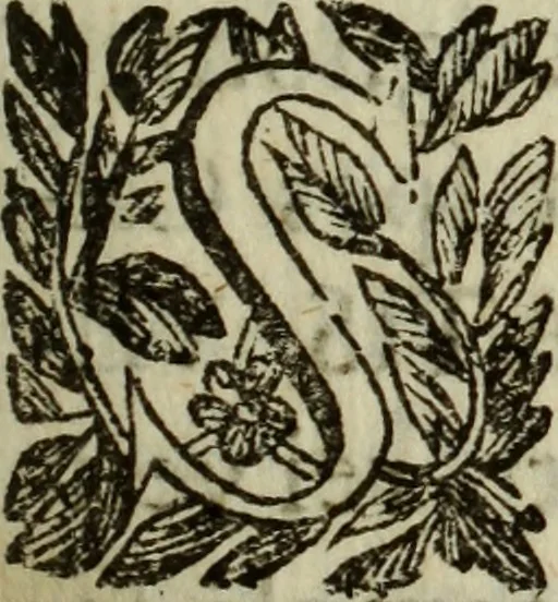 An illustration from Veritas harmonica vtriusque testamenti Alexandro VII. Pontifici ter Maximo, 1663, leaf 12