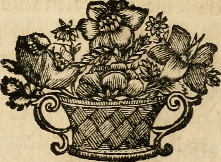 An illustration from Ver, oir, oler, gustar, tocar : empresas que enseñan y persuaden su buen uso, en lo politico y en lo moral, 1687, leaf 14