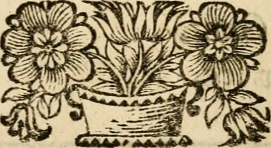 An illustration from Ver, oir, oler, gustar, tocar : empresas que enseñan y persuaden su buen uso, en lo politico y en lo moral, 1687, leaf 324