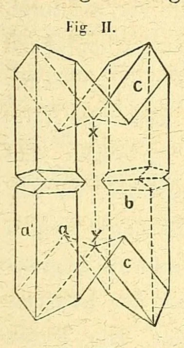 An illustration from Versuche über Pflanzen-Hybriden, 1866, leaf 413