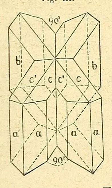 An illustration from Versuche über Pflanzen-Hybriden, 1866, leaf 413