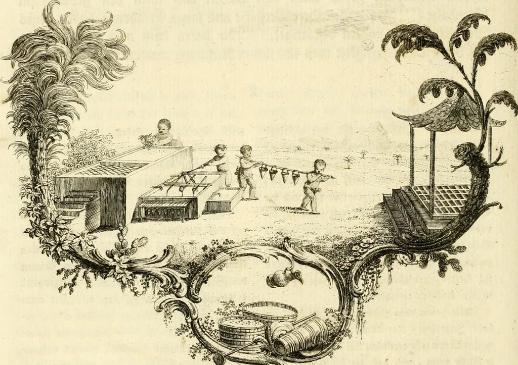 An illustration from Versuch eines Farbensystems, 1772, leaf 99