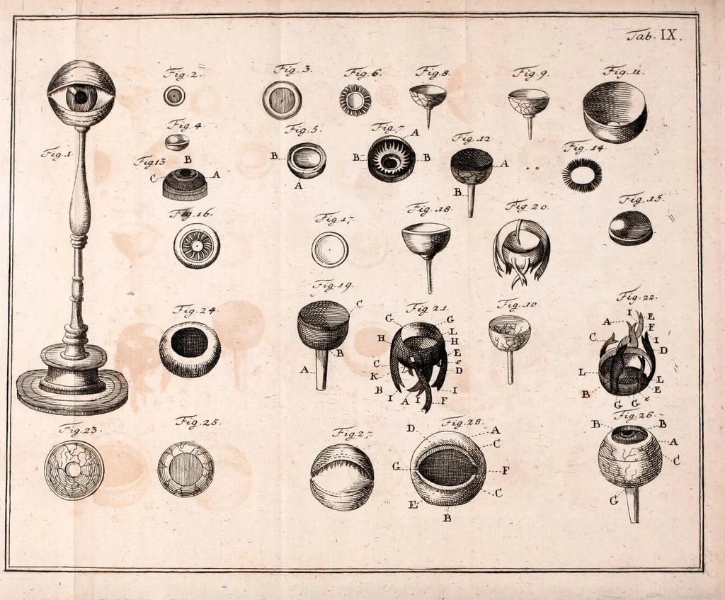 An illustration from Versuche, Unterhaltungen und Belustigungen aus der natürlichen Magie : zur Lehre, zum Nutzen und zum Vergnügen bestimmt, 1791, leaf 399
