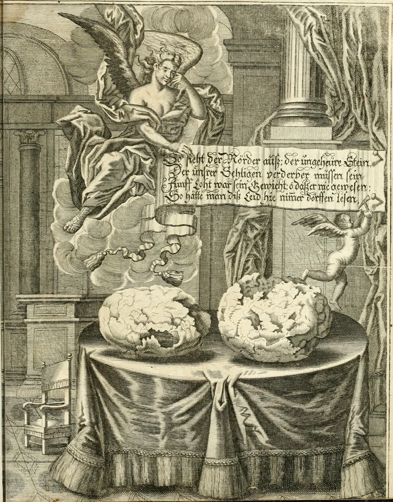 An illustration from Versüssete Bitterkeit, im Leben, Lieben und Leiden : angewiesen von dem Apostel I. Corinth. X. 13. und zu allgemeinen Trost in allerhand geistlichen und leiblichen Anfechtungen, als die weiland mit reiner Gottes-Furcht und edler Tugend-begabte Jungfer Sophie Charlotte Weigbers, den 13. Martij Morgens umb 10. Uhr des 1683. Jahrs, ihr Christlich und rühmlich-geführtes Leben im 14. Jahr Ihres Alters, mit ungemeiner Gedult und Freuden-Müthigkeit in wahren Glauben und Vertrauen auff das theurste verdienst Jesu Christij seelig beschlossen : und dero entseelter Leib den 20. Martij bey hoher Gegenwart und sonst ungemeiner Volckreicher Versamlung in der teutschen Kirchen zu S. Peter allhie seiner Ruhe-Kammer einverleibet wurde, 1685, leaf 384