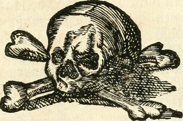 An illustration from Versüssete Bitterkeit, im Leben, Lieben und Leiden : angewiesen von dem Apostel I. Corinth. X. 13. und zu allgemeinen Trost in allerhand geistlichen und leiblichen Anfechtungen, als die weiland mit reiner Gottes-Furcht und edler Tugend-begabte Jungfer Sophie Charlotte Weigbers, den 13. Martij Morgens umb 10. Uhr des 1683. Jahrs, ihr Christlich und rühmlich-geführtes Leben im 14. Jahr Ihres Alters, mit ungemeiner Gedult und Freuden-Müthigkeit in wahren Glauben und Vertrauen auff das theurste verdienst Jesu Christij seelig beschlossen : und dero entseelter Leib den 20. Martij bey hoher Gegenwart und sonst ungemeiner Volckreicher Versamlung in der teutschen Kirchen zu S. Peter allhie seiner Ruhe-Kammer einverleibet wurde, 1685, leaf 392