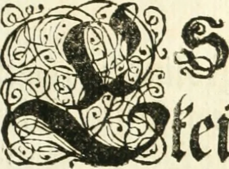 An illustration from Versüssete Bitterkeit, im Leben, Lieben und Leiden : angewiesen von dem Apostel I. Corinth. X. 13. und zu allgemeinen Trost in allerhand geistlichen und leiblichen Anfechtungen, als die weiland mit reiner Gottes-Furcht und edler Tugend-begabte Jungfer Sophie Charlotte Weigbers, den 13. Martij Morgens umb 10. Uhr des 1683. Jahrs, ihr Christlich und rühmlich-geführtes Leben im 14. Jahr Ihres Alters, mit ungemeiner Gedult und Freuden-Müthigkeit in wahren Glauben und Vertrauen auff das theurste verdienst Jesu Christij seelig beschlossen : und dero entseelter Leib den 20. Martij bey hoher Gegenwart und sonst ungemeiner Volckreicher Versamlung in der teutschen Kirchen zu S. Peter allhie seiner Ruhe-Kammer einverleibet wurde, 1685, leaf 40