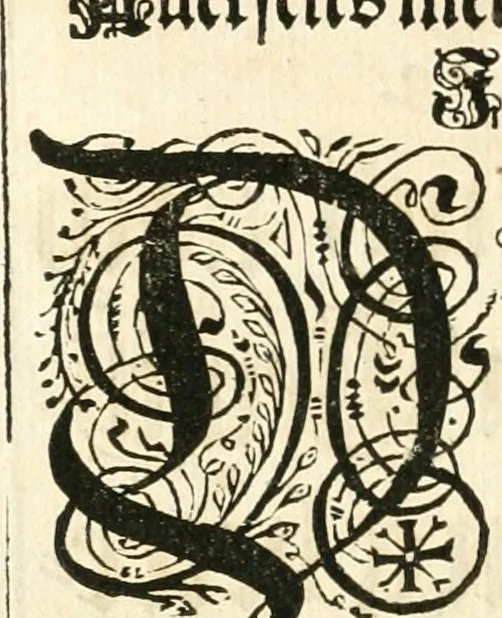 An illustration from Versüssete Bitterkeit, im Leben, Lieben und Leiden : angewiesen von dem Apostel I. Corinth. X. 13. und zu allgemeinen Trost in allerhand geistlichen und leiblichen Anfechtungen, als die weiland mit reiner Gottes-Furcht und edler Tugend-begabte Jungfer Sophie Charlotte Weigbers, den 13. Martij Morgens umb 10. Uhr des 1683. Jahrs, ihr Christlich und rühmlich-geführtes Leben im 14. Jahr Ihres Alters, mit ungemeiner Gedult und Freuden-Müthigkeit in wahren Glauben und Vertrauen auff das theurste verdienst Jesu Christij seelig beschlossen : und dero entseelter Leib den 20. Martij bey hoher Gegenwart und sonst ungemeiner Volckreicher Versamlung in der teutschen Kirchen zu S. Peter allhie seiner Ruhe-Kammer einverleibet wurde, 1685, leaf 41