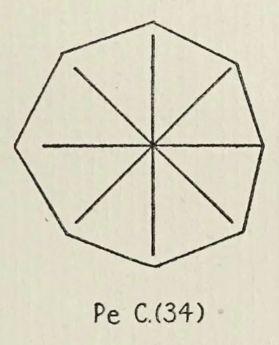 An illustration from The vertical-horizontal illusion; an experimental study of meridional disparities in the visual field, 1917, leaf 123