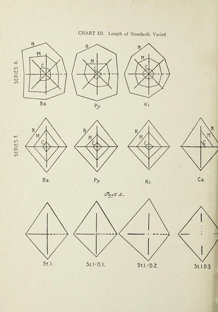 An illustration from The vertical-horizontal illusion; an experimental study of meridional disparities in the visual field, 1917, leaf 124