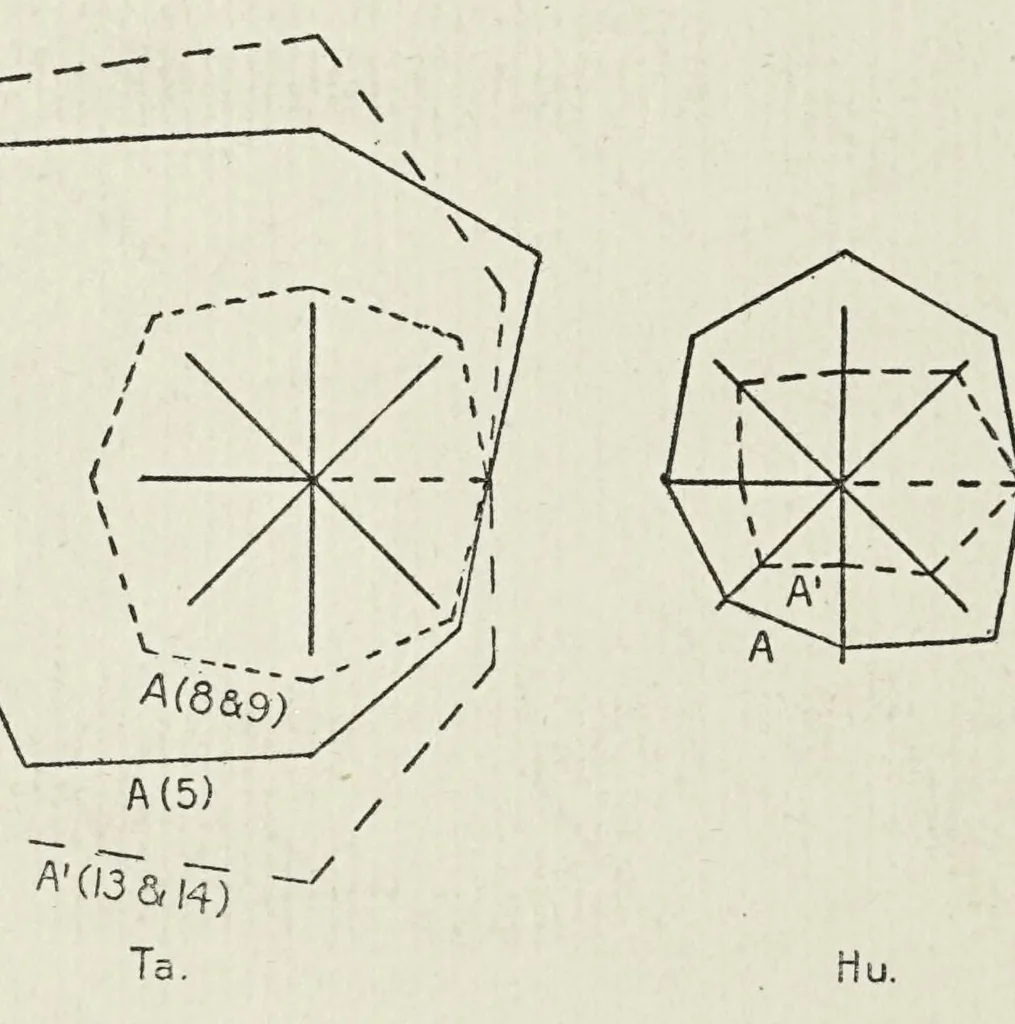An illustration from The vertical-horizontal illusion; an experimental study of meridional disparities in the visual field, 1917, leaf 126
