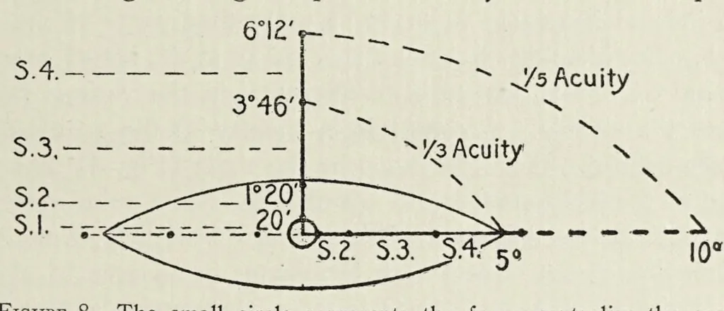 An illustration from The vertical-horizontal illusion; an experimental study of meridional disparities in the visual field, 1917, leaf 93