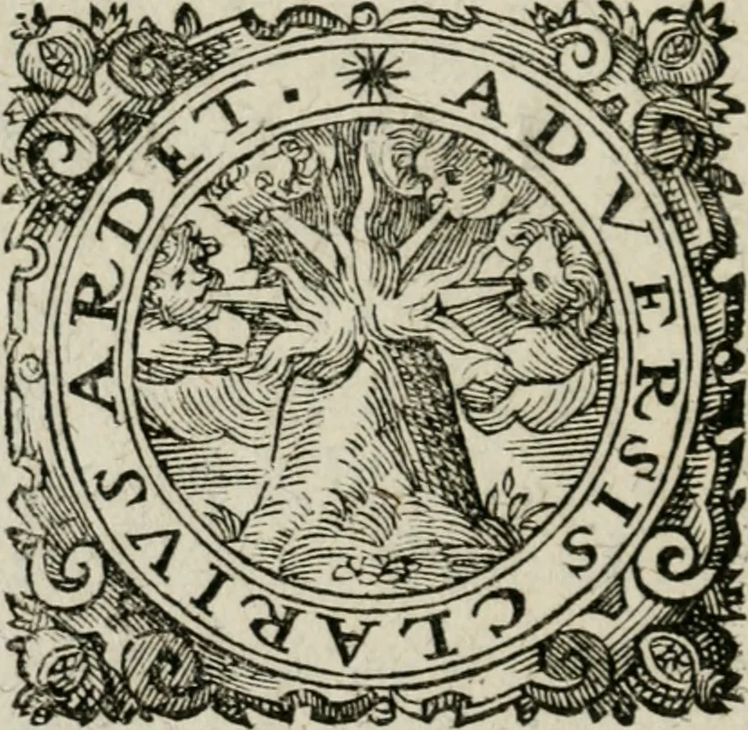An illustration from Vervm inventvm, hoc est, Mvnera Germaniae : ab ipsa primitvs reperta ... & reliquo orbi communicata, quae tanta sunt : vt plaeraque eorum mutationem mundo singularem attulerint, vniuersa longe vtilissima extiterint, tractatu peculiari euoluta & tradita, 1619, leaf 269