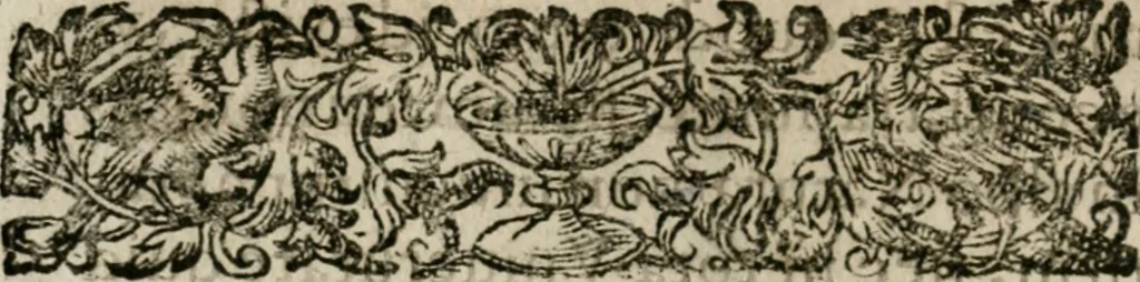 An illustration from Vervm inventvm, hoc est, Mvnera Germaniae : ab ipsa primitvs reperta ... & reliquo orbi communicata, quae tanta sunt : vt plaeraque eorum mutationem mundo singularem attulerint, vniuersa longe vtilissima extiterint, tractatu peculiari euoluta & tradita, 1619, leaf 29