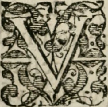 An illustration from Vervm inventvm, hoc est, Mvnera Germaniae : ab ipsa primitvs reperta ... & reliquo orbi communicata, quae tanta sunt : vt plaeraque eorum mutationem mundo singularem attulerint, vniuersa longe vtilissima extiterint, tractatu peculiari euoluta & tradita, 1619, leaf 29