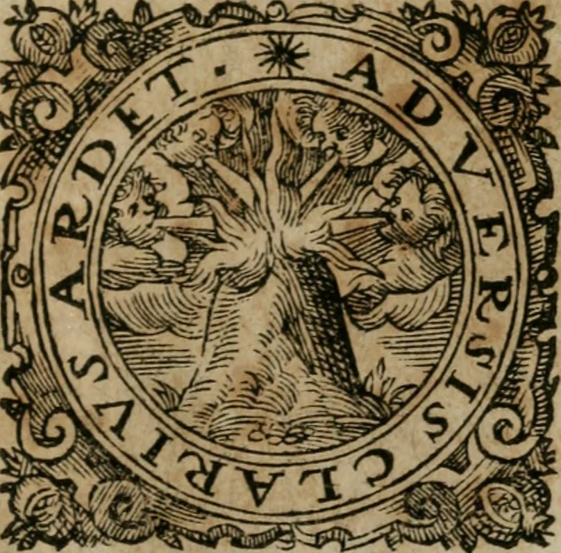 An illustration from Vervm inventvm, hoc est, Mvnera Germaniae : ab ipsa primitvs reperta ... & reliquo orbi communicata, quae tanta sunt : vt plaeraque eorum mutationem mundo singularem attulerint, vniuersa longe vtilissima extiterint, tractatu peculiari euoluta & tradita, 1619, leaf 4