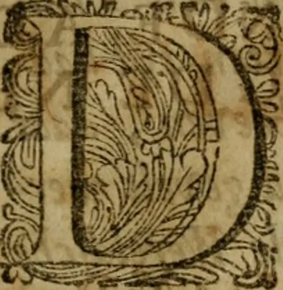 An illustration from 't Verwerd Europa, ofte, Politijke en historische beschryvinge der waare fundamenten en oorsaken van de oorlogen en revolutien in Europa : voornamentlijk in en omtrent de Nederlanden zedert den jaare 1664, gecauseert door de gepretendeerde universele monarchie der Franschen ..., 1675, leaf 12