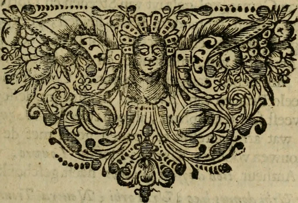 An illustration from 't Verwerd Europa, ofte, Politijke en historische beschryvinge der waare fundamenten en oorsaken van de oorlogen en revolutien in Europa : voornamentlijk in en omtrent de Nederlanden zedert den jaare 1664, gecauseert door de gepretendeerde universele monarchie der Franschen ..., 1675, leaf 150