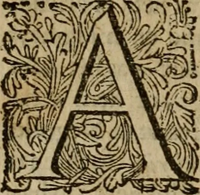 An illustration from 't Verwerd Europa, ofte, Politijke en historische beschryvinge der waare fundamenten en oorsaken van de oorlogen en revolutien in Europa : voornamentlijk in en omtrent de Nederlanden zedert den jaare 1664, gecauseert door de gepretendeerde universele monarchie der Franschen ..., 1675, leaf 151