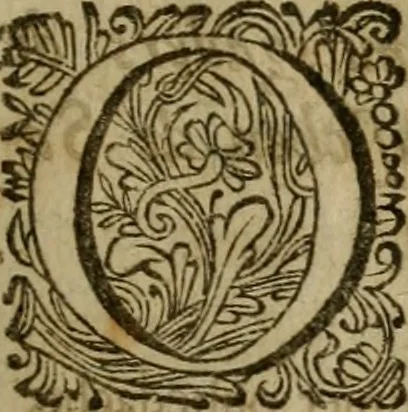 An illustration from 't Verwerd Europa, ofte, Politijke en historische beschryvinge der waare fundamenten en oorsaken van de oorlogen en revolutien in Europa : voornamentlijk in en omtrent de Nederlanden zedert den jaare 1664, gecauseert door de gepretendeerde universele monarchie der Franschen ..., 1675, leaf 16