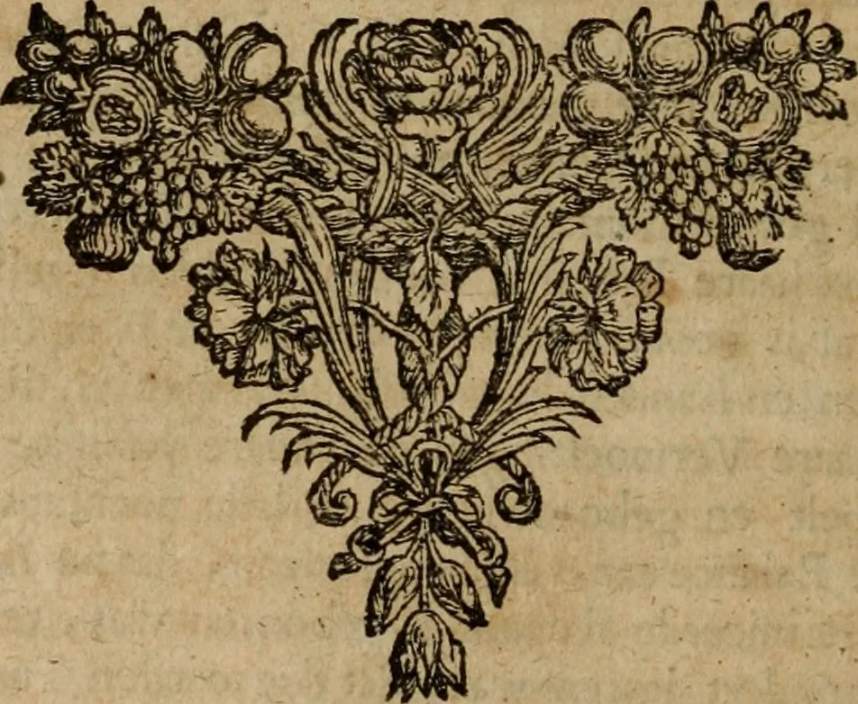 An illustration from 't Verwerd Europa, ofte, Politijke en historische beschryvinge der waare fundamenten en oorsaken van de oorlogen en revolutien in Europa : voornamentlijk in en omtrent de Nederlanden zedert den jaare 1664, gecauseert door de gepretendeerde universele monarchie der Franschen ..., 1675, leaf 333