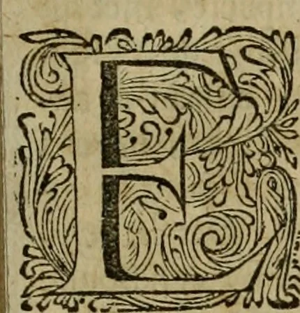 An illustration from 't Verwerd Europa, ofte, Politijke en historische beschryvinge der waare fundamenten en oorsaken van de oorlogen en revolutien in Europa : voornamentlijk in en omtrent de Nederlanden zedert den jaare 1664, gecauseert door de gepretendeerde universele monarchie der Franschen ..., 1675, leaf 334