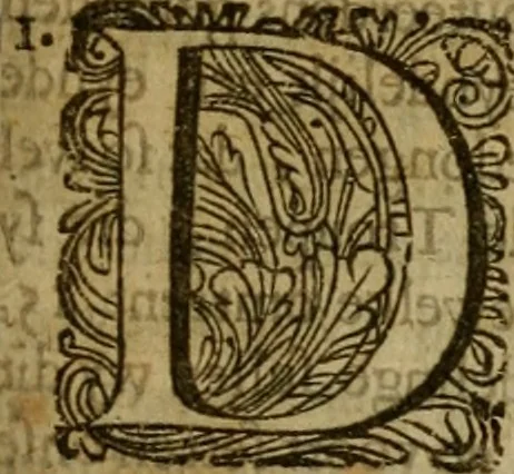 An illustration from 't Verwerd Europa, ofte, Politijke en historische beschryvinge der waare fundamenten en oorsaken van de oorlogen en revolutien in Europa : voornamentlijk in en omtrent de Nederlanden zedert den jaare 1664, gecauseert door de gepretendeerde universele monarchie der Franschen ..., 1675, leaf 900