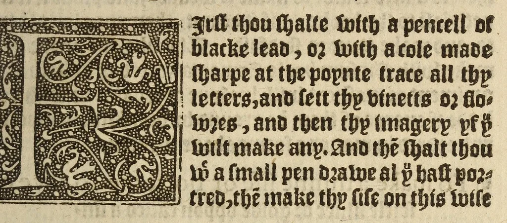 An illustration from A very proper treatise, wherein is briefly sett forthe the arte of limming, which teacheth the order in drawing & tracing of letters, vinets, flowers, armes and imagery ... neuer put in printe before this time, 1573, leaf 9