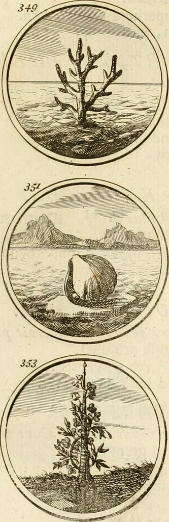 An illustration from Verzámeling van uitgekórene zin-spreuken, en zinnebeeldige print-vercieringen : eertyds, op bevel van den aller doorlugtigsten keizer der Russen, Peter Alexis, of de Gróte, getékent en gesnéden : en nu op nieus verrykt : met agthondert en veertig byschriften in verzen, 1743, leaf 134