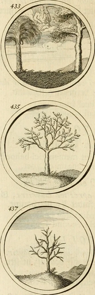 An illustration from Verzámeling van uitgekórene zin-spreuken, en zinnebeeldige print-vercieringen : eertyds, op bevel van den aller doorlugtigsten keizer der Russen, Peter Alexis, of de Gróte, getékent en gesnéden : en nu op nieus verrykt : met agthondert en veertig byschriften in verzen, 1743, leaf 162