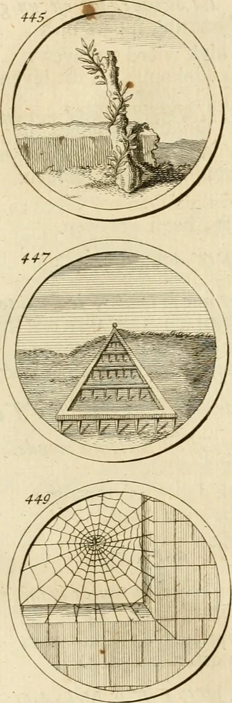 An illustration from Verzámeling van uitgekórene zin-spreuken, en zinnebeeldige print-vercieringen : eertyds, op bevel van den aller doorlugtigsten keizer der Russen, Peter Alexis, of de Gróte, getékent en gesnéden : en nu op nieus verrykt : met agthondert en veertig byschriften in verzen, 1743, leaf 166