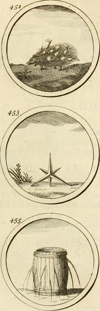 An illustration from Verzámeling van uitgekórene zin-spreuken, en zinnebeeldige print-vercieringen : eertyds, op bevel van den aller doorlugtigsten keizer der Russen, Peter Alexis, of de Gróte, getékent en gesnéden : en nu op nieus verrykt : met agthondert en veertig byschriften in verzen, 1743, leaf 168