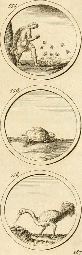 An illustration from Verzámeling van uitgekórene zin-spreuken, en zinnebeeldige print-vercieringen : eertyds, op bevel van den aller doorlugtigsten keizer der Russen, Peter Alexis, of de Gróte, getékent en gesnéden : en nu op nieus verrykt : met agthondert en veertig byschriften in verzen, 1743, leaf 202