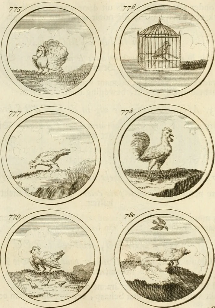 An illustration from Verzámeling van uitgekórene zin-spreuken, en zinnebeeldige print-vercieringen : eertyds, op bevel van den aller doorlugtigsten keizer der Russen, Peter Alexis, of de Gróte, getékent en gesnéden : en nu op nieus verrykt : met agthondert en veertig byschriften in verzen, 1743, leaf 276