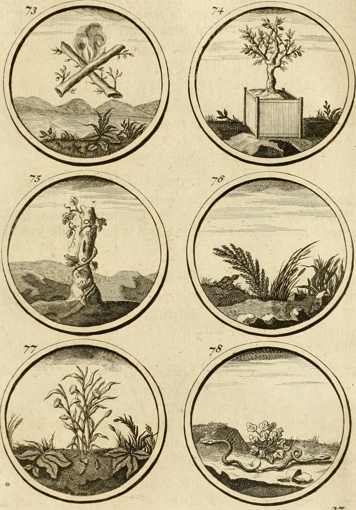 An illustration from Verzámeling van uitgekórene zin-spreuken, en zinnebeeldige print-vercieringen : eertyds, op bevel van den aller doorlugtigsten keizer der Russen, Peter Alexis, of de Gróte, getékent en gesnéden : en nu op nieus verrykt : met agthondert en veertig byschriften in verzen, 1743, leaf 42