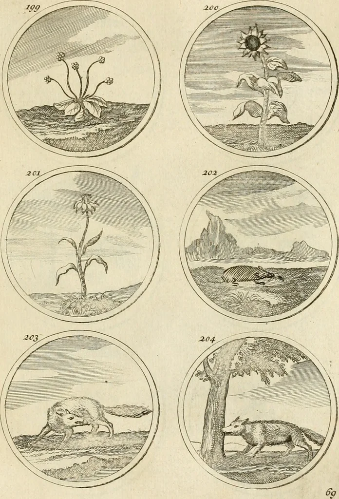 An illustration from Verzámeling van uitgekórene zin-spreuken, en zinnebeeldige print-vercieringen : eertyds, op bevel van den aller doorlugtigsten keizer der Russen, Peter Alexis, of de Gróte, getékent en gesnéden : en nu op nieus verrykt : met agthondert en veertig byschriften in verzen, 1743, leaf 84