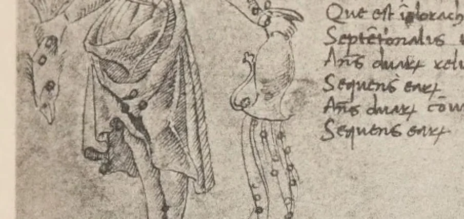 An illustration from Verzeichnis astrologischer und mythologischer illustrierter Handschriften des lateinischen Mittelalters / von Fritz Saxl und Hans Meier., 1915, leaf 169