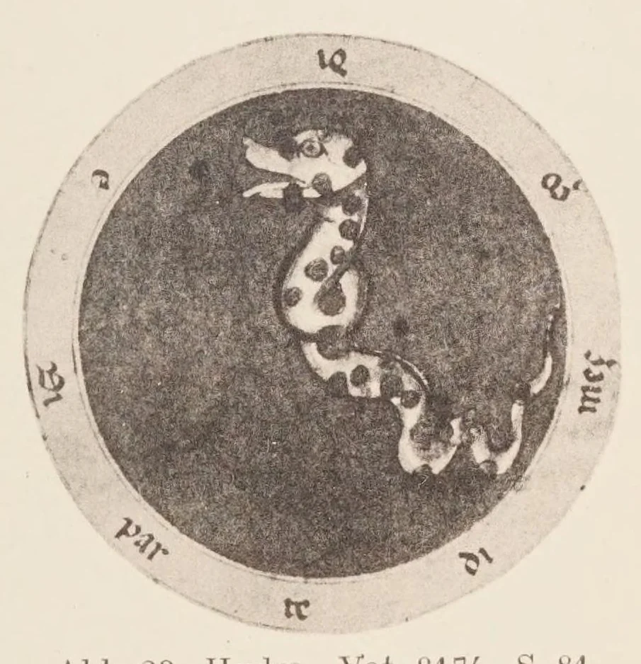 An illustration from Verzeichnis astrologischer und mythologischer illustrierter Handschriften des lateinischen Mittelalters / von Fritz Saxl und Hans Meier., 1915, leaf 185