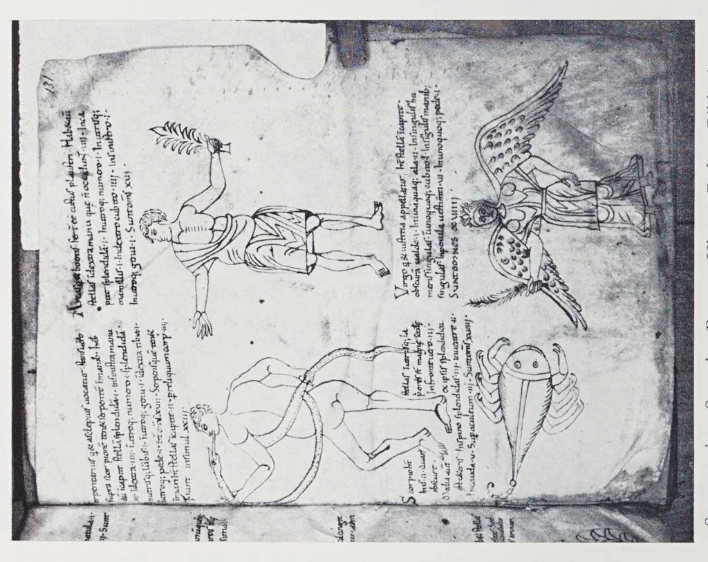 An illustration from Verzeichnis astrologischer und mythologischer illustrierter Handschriften des lateinischen Mittelalters / von Fritz Saxl und Hans Meier., 1915, leaf 152
