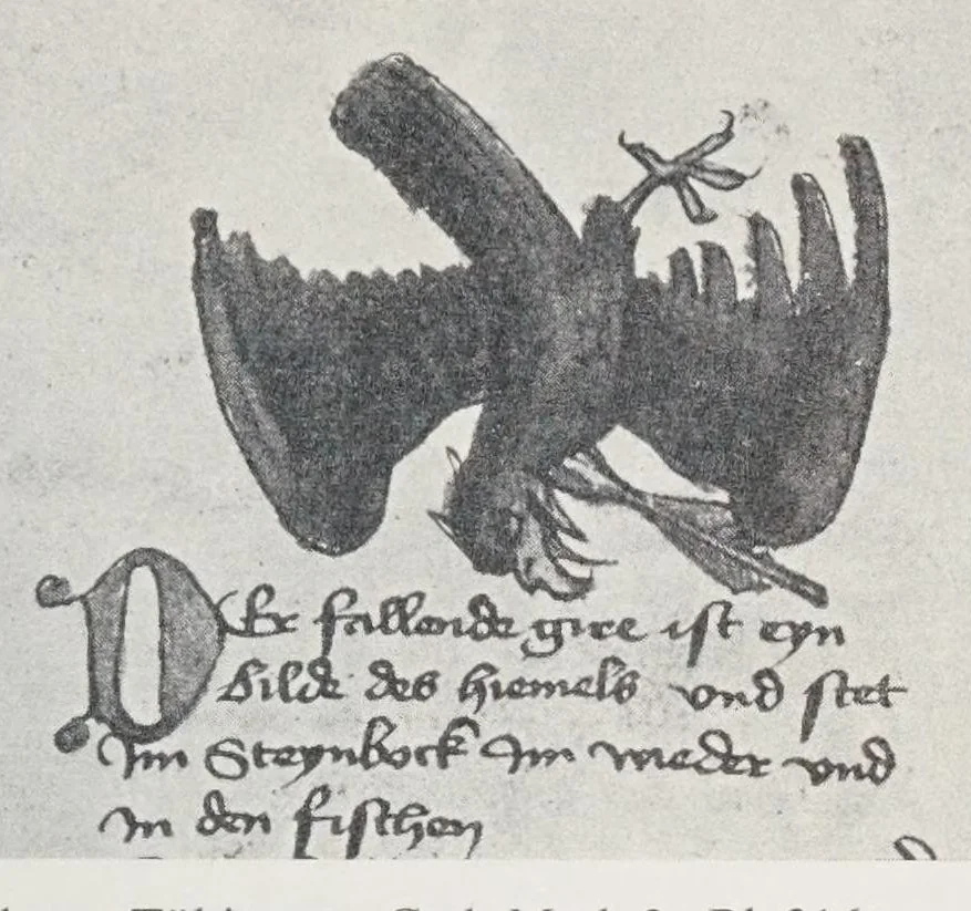 An illustration from Verzeichnis astrologischer und mythologischer illustrierter Handschriften des lateinischen Mittelalters / von Fritz Saxl und Hans Meier., 1915, leaf 51