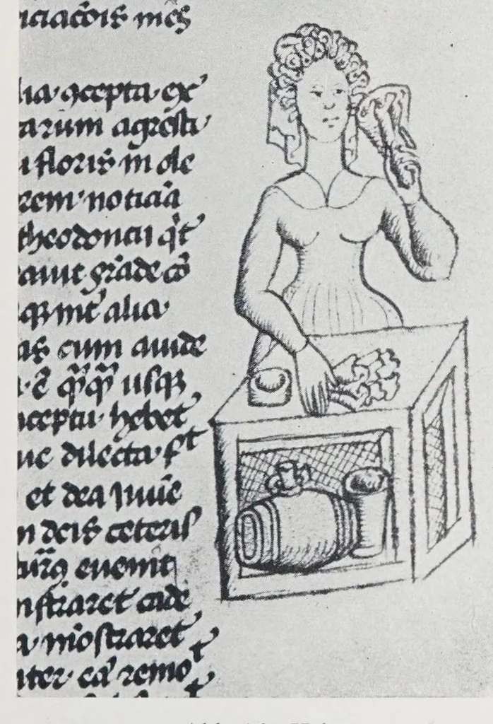 An illustration from Verzeichnis astrologischer und mythologischer illustrierter Handschriften des lateinischen Mittelalters / von Fritz Saxl und Hans Meier., 1915, leaf 81
