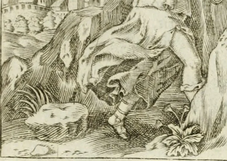 An illustration from Iani Iacobi Boissardi Vesuntini Emblematum liber = Emblemes latins de I.I. Boissard, 1588, leaf 48
